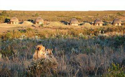 фото отеля Gondwana Game Reserve