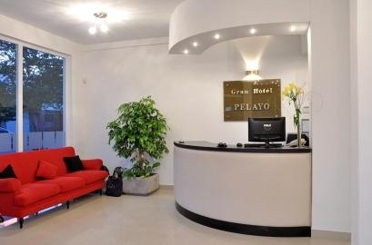 фото отеля Hotel Pelayo