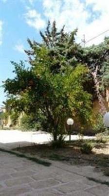 фото отеля Villa Robbabate