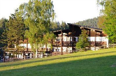 фото отеля Waldhotel Bachlein