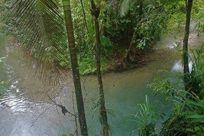 фото отеля Daintree Heritage Lodge Cape Tribulation
