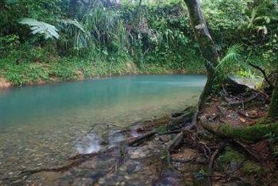 фото отеля Daintree Heritage Lodge Cape Tribulation