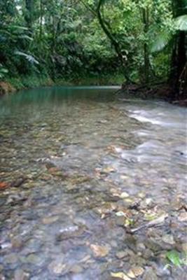 фото отеля Daintree Heritage Lodge Cape Tribulation