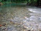 фото отеля Daintree Heritage Lodge Cape Tribulation