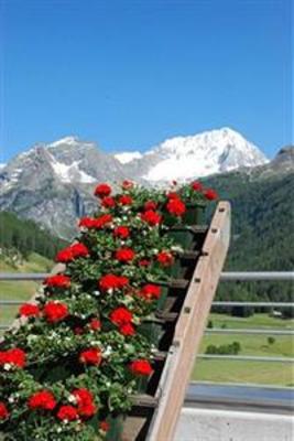 фото отеля Natur Idyll Hochgall