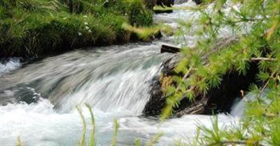 фото отеля Natur Idyll Hochgall