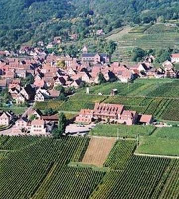 фото отеля Hotel le Relais du Vignoble
