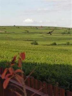 фото отеля Hotel le Relais du Vignoble