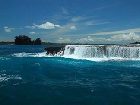 фото отеля Playa Tortuga Hotel Bocas del Toro