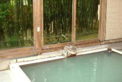 фото отеля Japanese Inn Stone Bale Pavilion