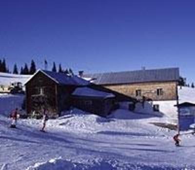 фото отеля The Treehouse Backpackers Hotel