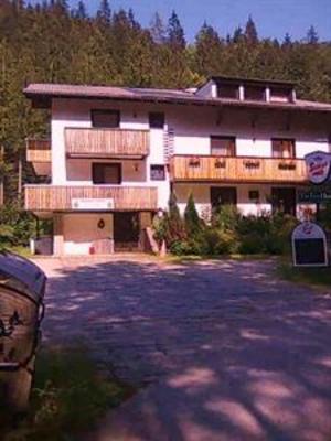 фото отеля The Treehouse Backpackers Hotel
