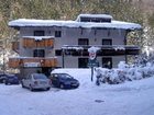 фото отеля The Treehouse Backpackers Hotel