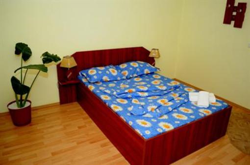 фото отеля Pensiunea Diadis