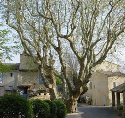 фото отеля Le Castelas