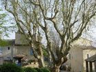 фото отеля Le Castelas