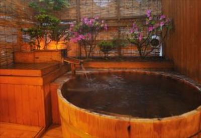 фото отеля Shibu-onsen Kokuya