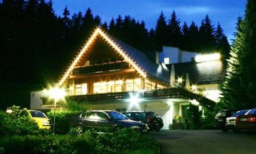 фото отеля Waldhotel Ehrental