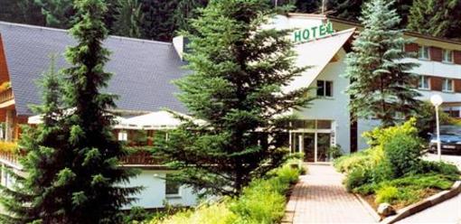 фото отеля Waldhotel Ehrental
