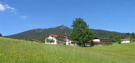 фото отеля Osserhotel