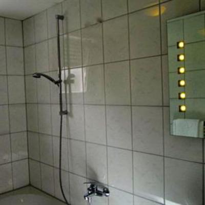 фото отеля Hotel Mila Reichenbach An Der Fils