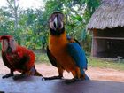 фото отеля Amazonas Sinchay Lodge