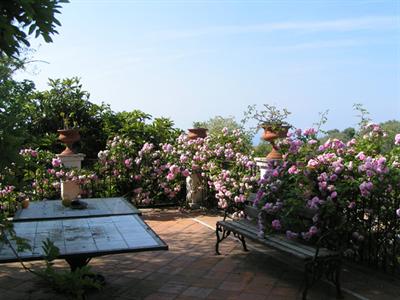 фото отеля Torre Galli Resort & Restaurant