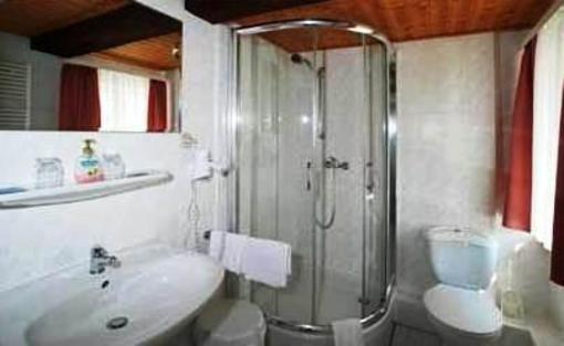 фото отеля Hotel Brauner Hirsch Bad Harzburg
