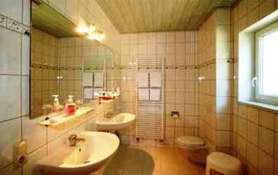 фото отеля Hotel Brauner Hirsch Bad Harzburg