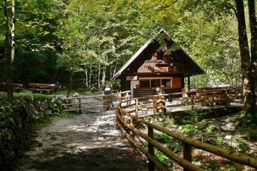 фото отеля Apartments Alpik At Bohinj Lake