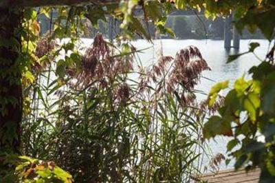фото отеля Strandhotel Alte Donau
