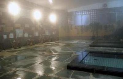 фото отеля Seigaku Hotel