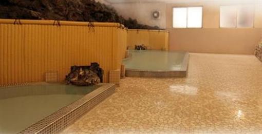 фото отеля Seigaku Hotel