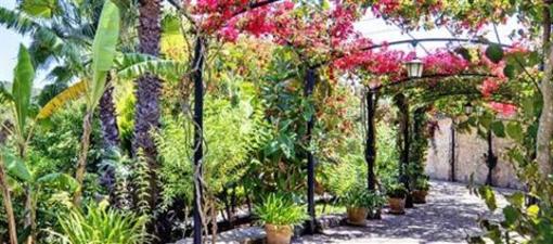 фото отеля Luxury Hotel&Spa Es Jardi