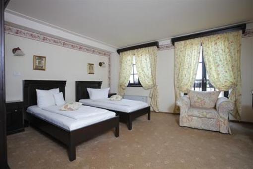 фото отеля Pension Donna Anna 1 Timisoara