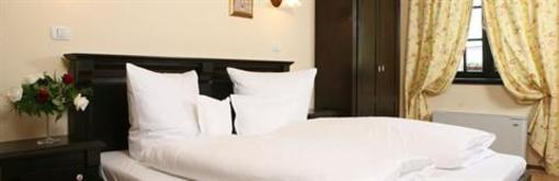 фото отеля Pension Donna Anna 1 Timisoara