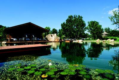 фото отеля Vila Vita Hotel und Feriendorf Pannonia
