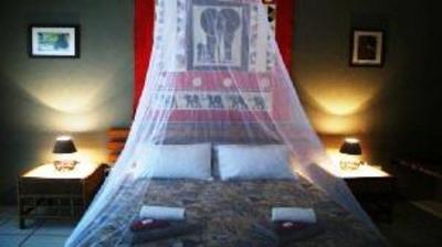фото отеля Cheetah Inn