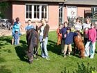 фото отеля Ferienbauernhof Lafrenz