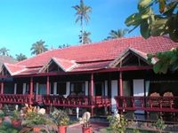 Palm Tree Heritage