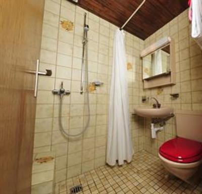 фото отеля Hotel Bach Brig