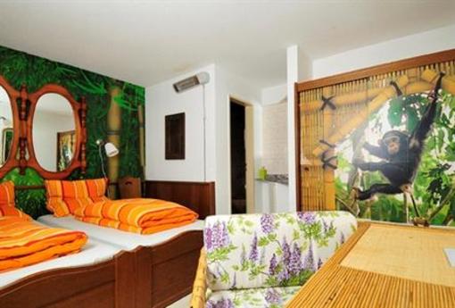 фото отеля Hotel Bach Brig