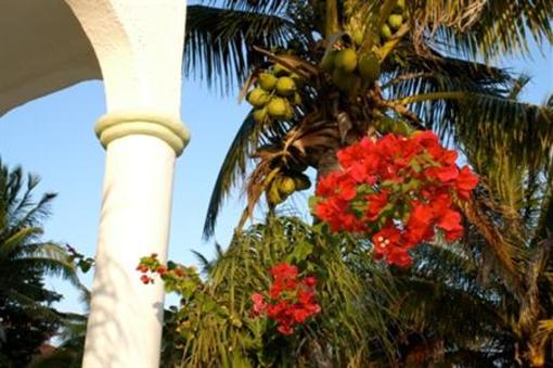 фото отеля Hotel Akumal Caribe
