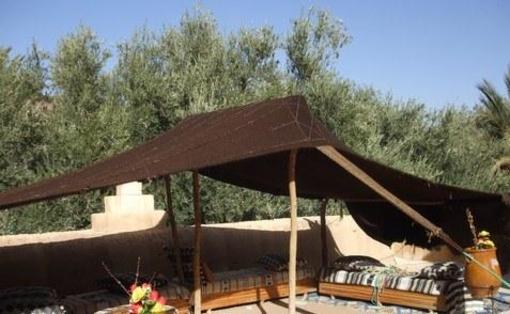 фото отеля Palmeraie Guesthouse