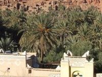 Palmeraie Guesthouse