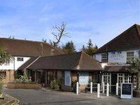 Tree at Cadmore Hotel High Wycombe