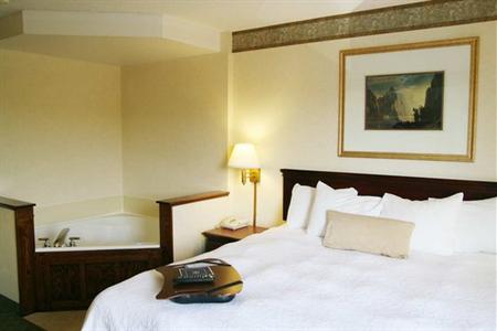фото отеля Hampton Inn Marietta