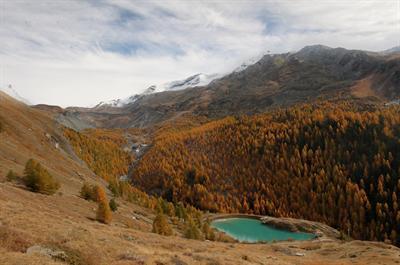 фото отеля National