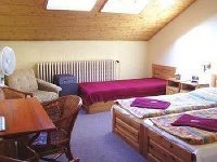 Platan Pension Prague