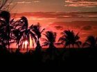 фото отеля BEST WESTERN Tamarindo Vista Villas